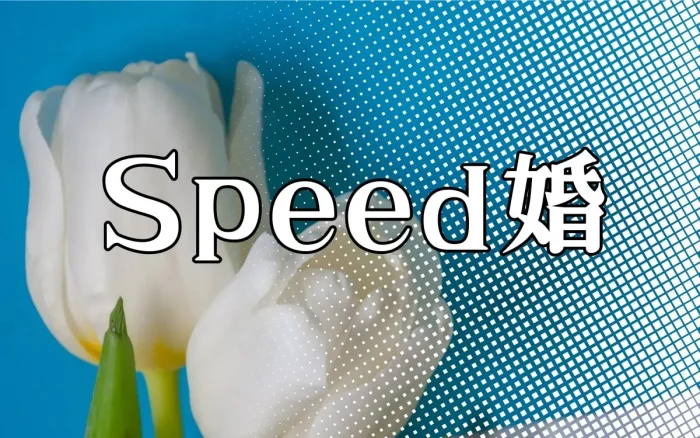 speed婚